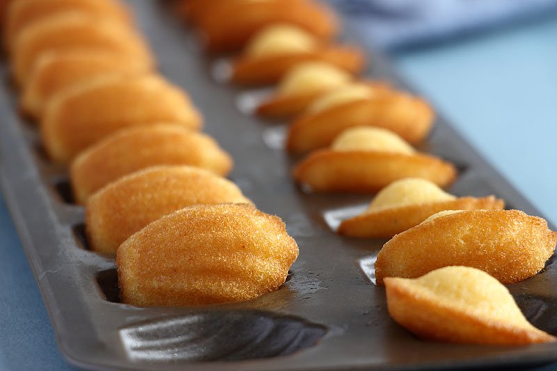 Madeleines