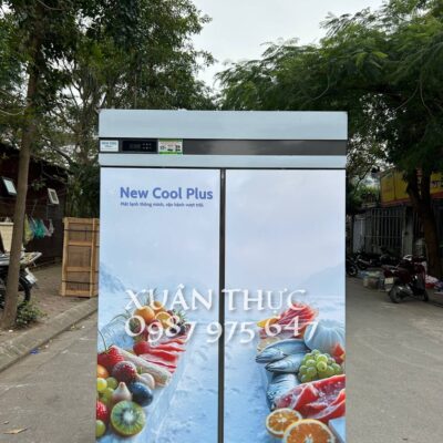 TỦ ĐÔNG 32 KHAY NEW COOL CÓ NAN CÀI