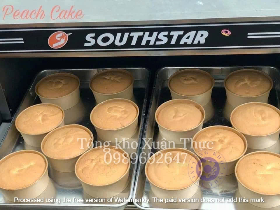 Bánh bông lan được nướng bằng lò 1 tầng 2 khay Southstar
